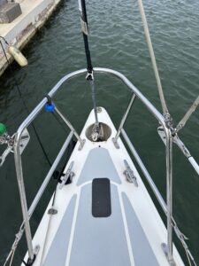 CS42-003-Raving-Swan-20-scaled.jpeg