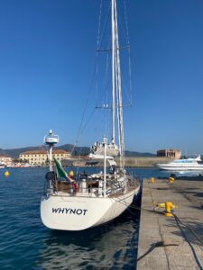 IMG_7804.jpg