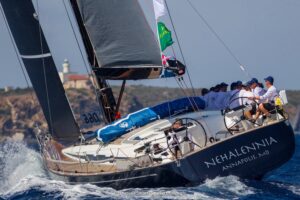 Nehalennia-4.jpg