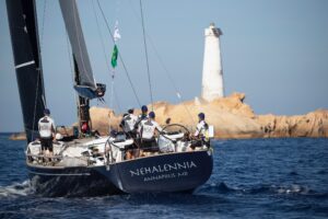 Nehalennia-5.jpg